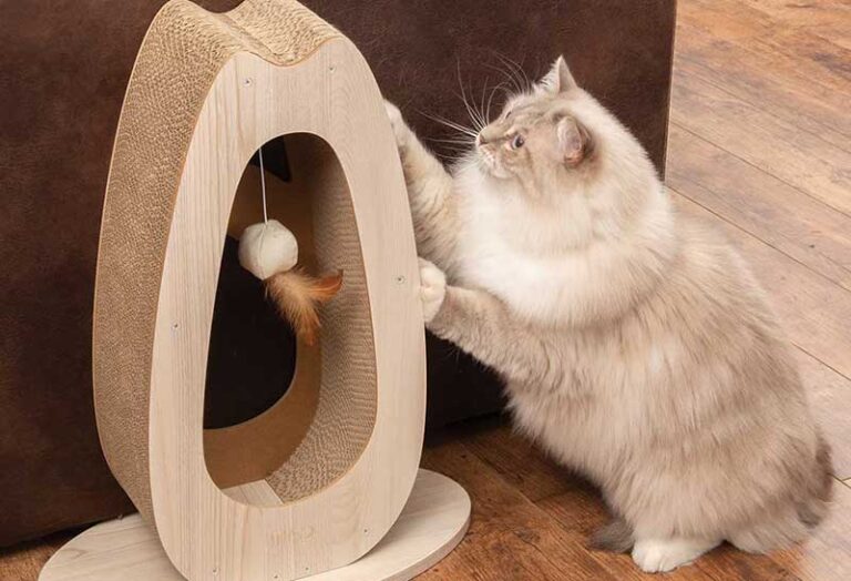 Jouet Interactif 3 En 1 Pour Chat - Kitty Spin Avec Griffoir Et Balle - Structure Variable, Naturel - Pour Chat Seul Ou Multiple - 11