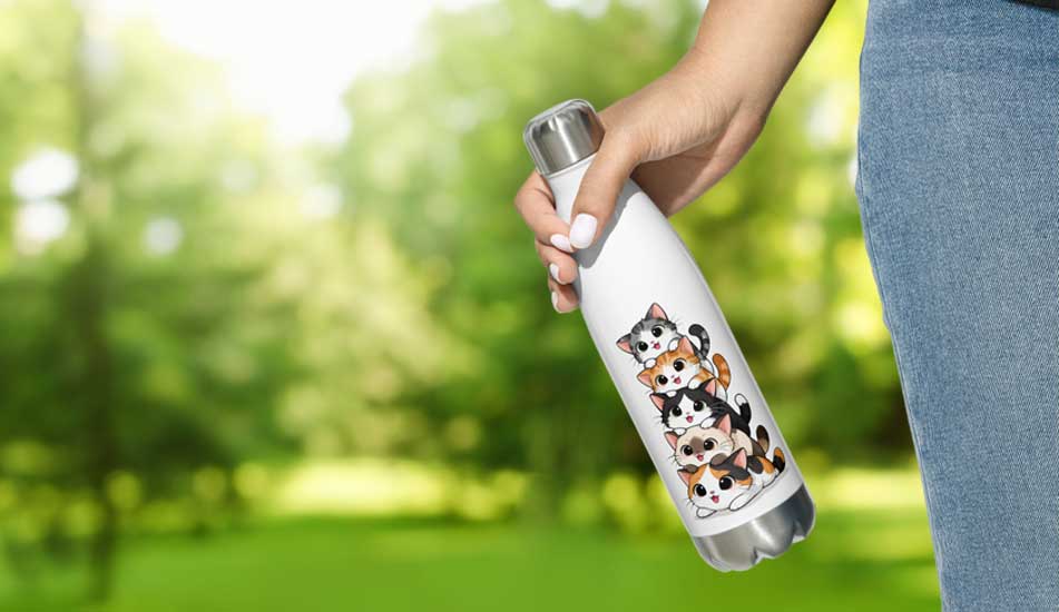 Gourde isotherme chat : comment la choisir